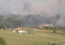 Incendio Pineta d’Avalos a Pescara. Le riserve conservano la biodiversità, non sono luoghi di degrado e di tagli boschivi.